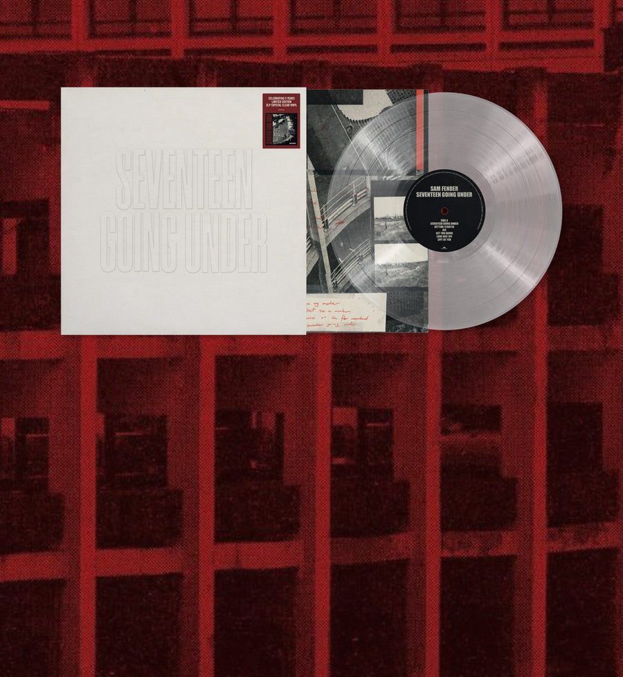 Seventeen Going Under Vinyl